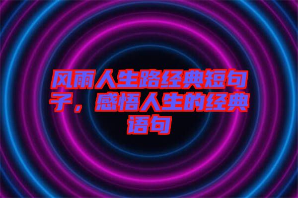 風(fēng)雨人生路經(jīng)典短句子，感悟人生的經(jīng)典語句