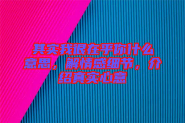 其實(shí)我很在乎你什么意思，解情感細(xì)節(jié)，介紹真實(shí)心意