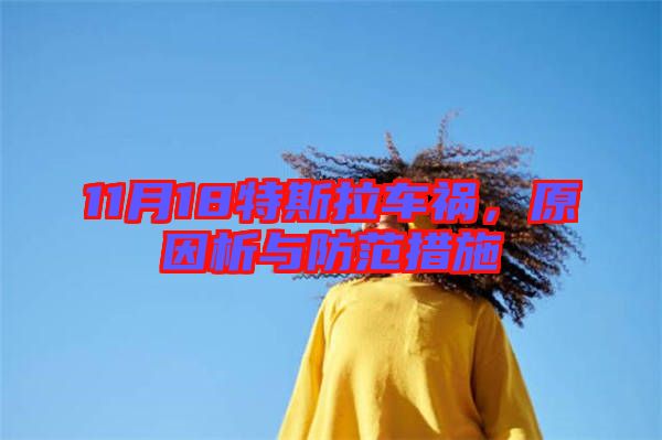 11月18特斯拉車禍，原因析與防范措施
