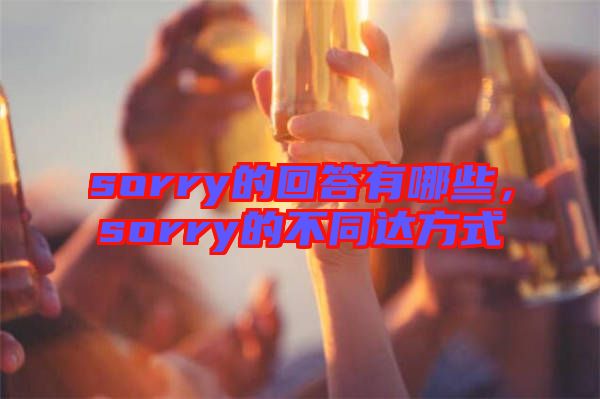 sorry的回答有哪些，sorry的不同達(dá)方式
