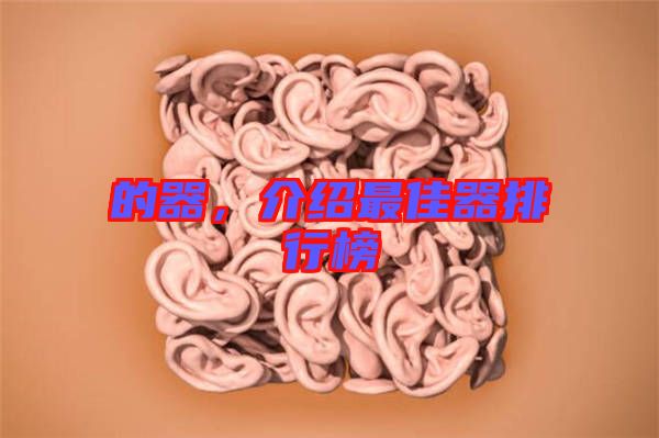 的器，介紹最佳器排行榜