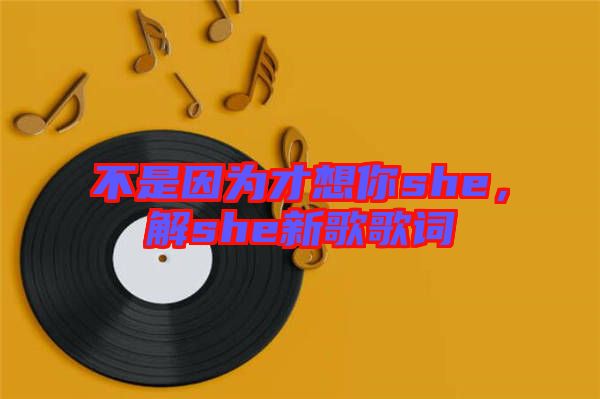 不是因?yàn)椴畔肽鉺he，解she新歌歌詞