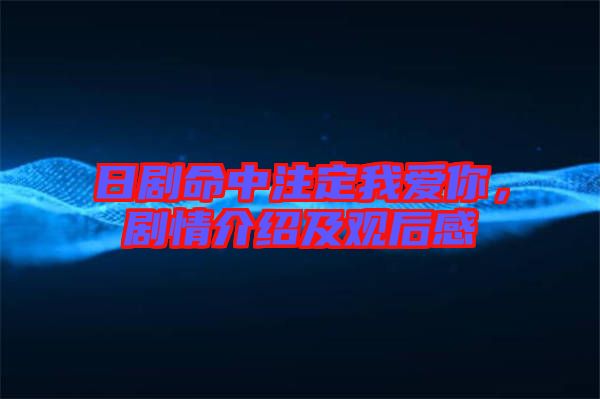 日劇命中注定我愛你，劇情介紹及觀后感