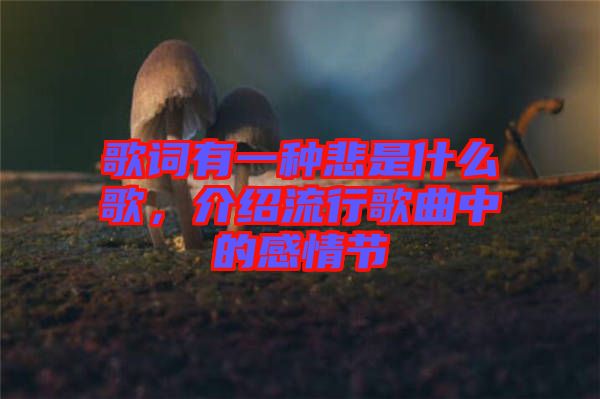 歌詞有一種悲是什么歌，介紹流行歌曲中的感情節(jié)