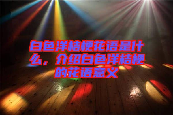 白色洋桔梗花語是什么，介紹白色洋桔梗的花語意義