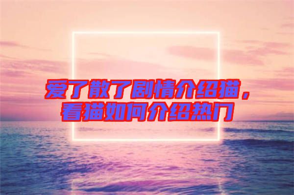 愛了散了劇情介紹貓，看貓如何介紹熱門