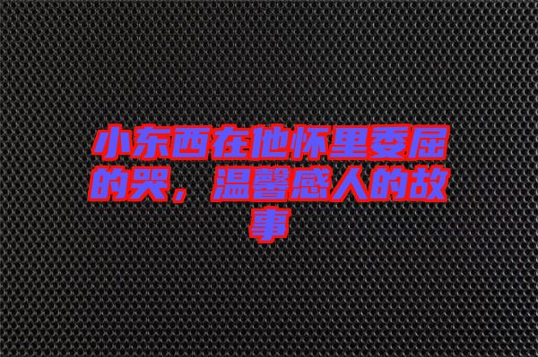 小東西在他懷里委屈的哭，溫馨感人的故事