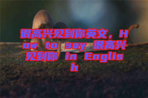 很高興見(jiàn)到你英文，How to say 很高興見(jiàn)到你 in English