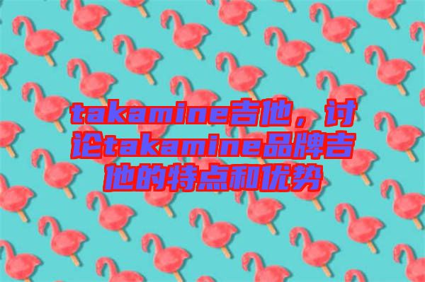 takamine吉他，討論takamine品牌吉他的特點(diǎn)和優(yōu)勢(shì)