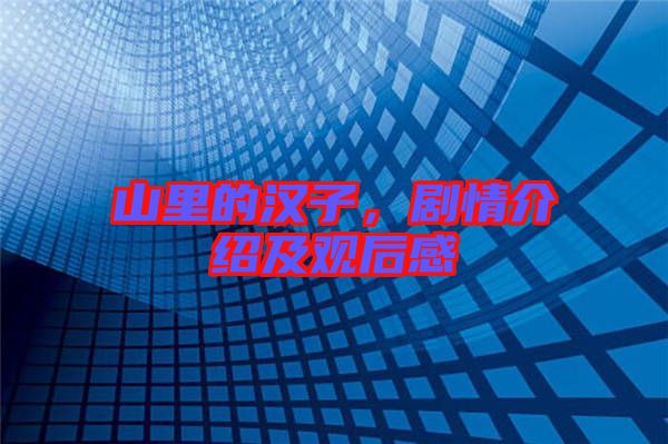山里的漢子，劇情介紹及觀后感