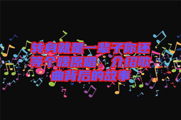 轉(zhuǎn)身就是一輩子你還等個(gè)啥原唱，介紹歌曲背后的故事