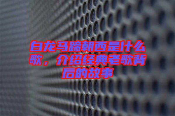 白龍馬蹄朝西是什么歌，介紹經(jīng)典老歌背后的故事