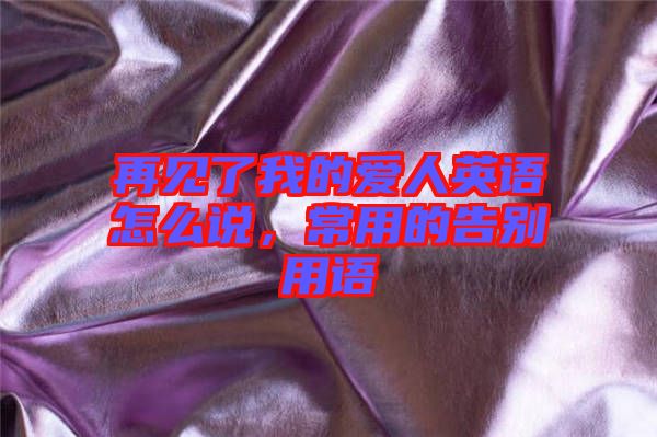 再見了我的愛人英語怎么說，常用的告別用語