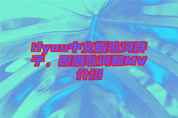 ifyou中文版歌詞胖子，原唱歌詞和MV介紹