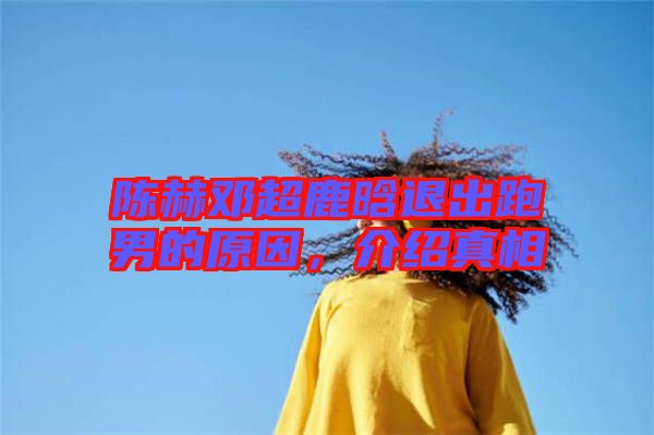 陳赫鄧超鹿晗退出跑男的原因，介紹真相