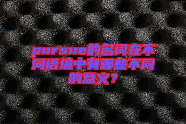pursue的名詞在不同語境中有哪些不同的意義？
