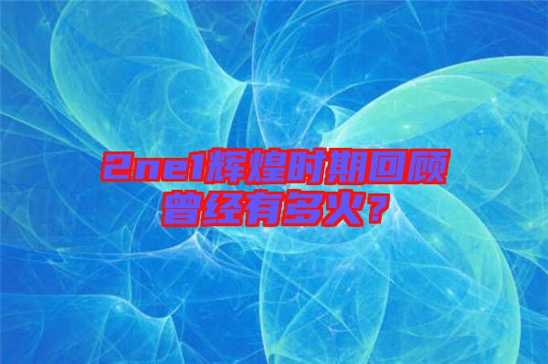 2ne1輝煌時(shí)期回顧曾經(jīng)有多火？