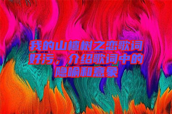 我的山楂樹之戀歌詞好污，介紹歌詞中的隱喻和意象