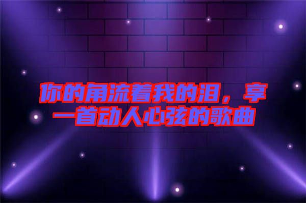 你的角流著我的淚，享一首動人心弦的歌曲