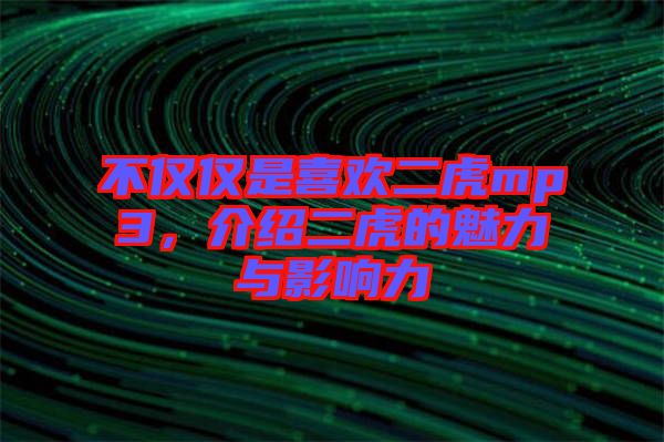 不僅僅是喜歡二虎mp3，介紹二虎的魅力與影響力
