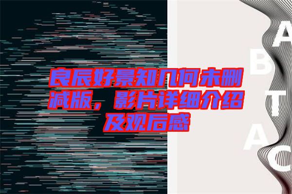 良辰好景知幾何未刪減版，影片詳細(xì)介紹及觀后感