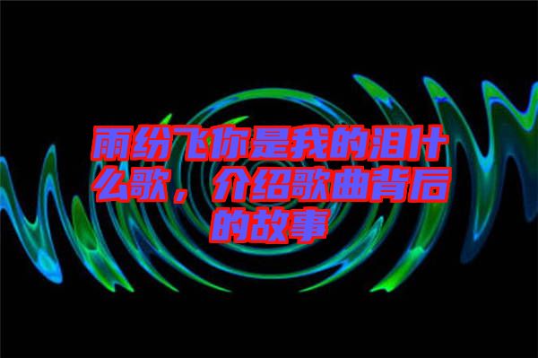 雨紛飛你是我的淚什么歌，介紹歌曲背后的故事