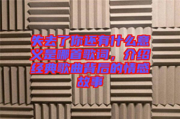 失去了你還有什么意義是哪首歌詞，介紹經(jīng)典歌曲背后的情感故事