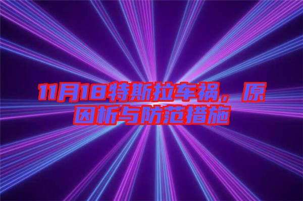 11月18特斯拉車禍，原因析與防范措施