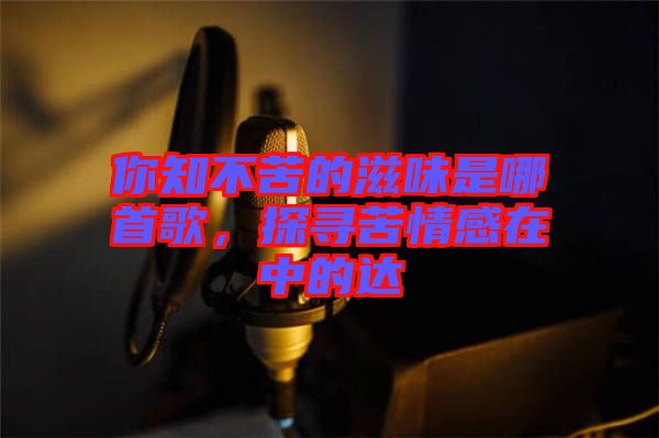 你知不苦的滋味是哪首歌，探尋苦情感在中的達(dá)