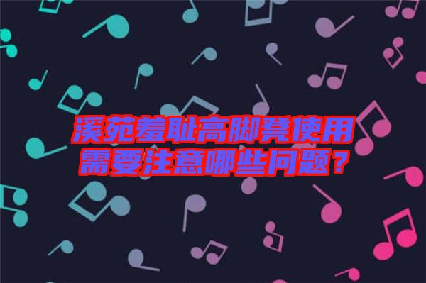 溪苑羞恥高腳凳使用需要注意哪些問題？