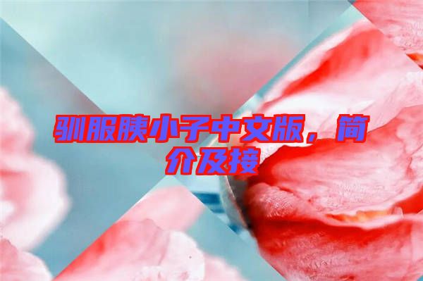 馴服胰小子中文版，簡介及接