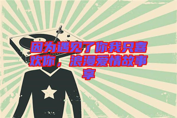 因?yàn)橛鲆娏四阄抑幌矚g你，浪漫愛情故事享