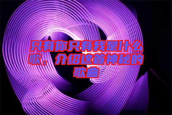 只有你只有我是什么歌，介紹這首神秘的歌曲