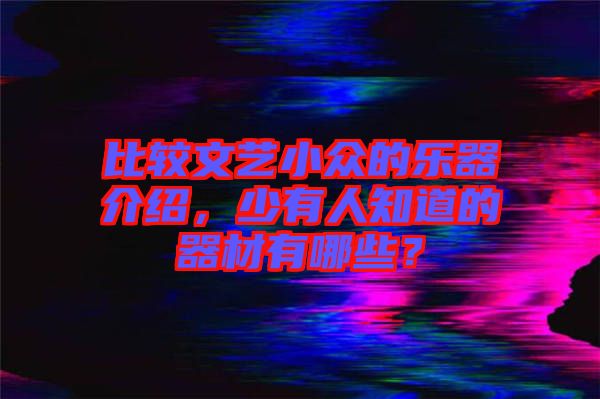 比較文藝小眾的樂器介紹，少有人知道的器材有哪些？