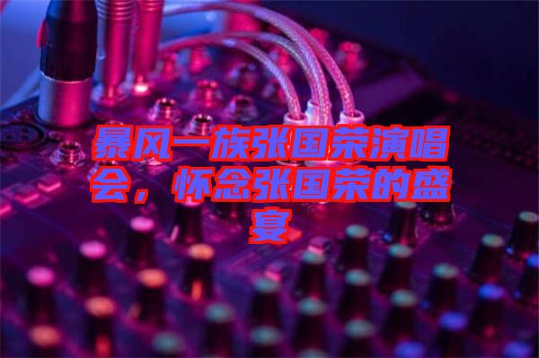 暴風(fēng)一族張國榮演唱會，懷念張國榮的盛宴