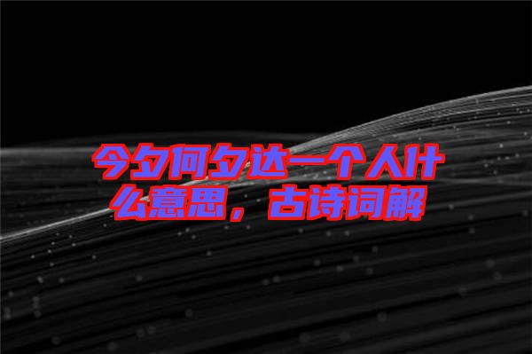 今夕何夕達(dá)一個人什么意思，古詩詞解