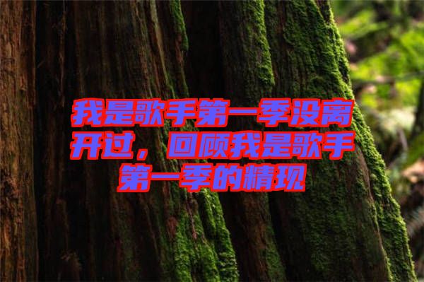 我是歌手第一季沒離開過，回顧我是歌手第一季的精現(xiàn)
