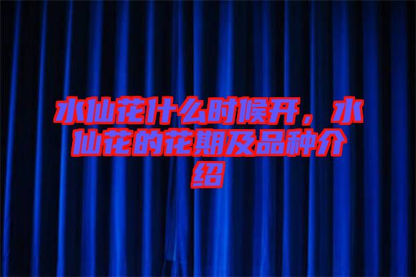 水仙花什么時候開，水仙花的花期及品種介紹