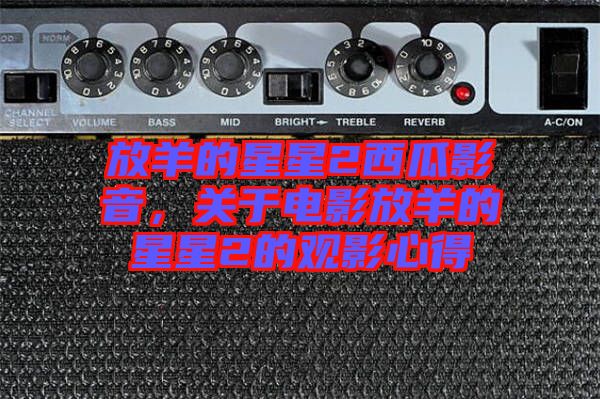 放羊的星星2西瓜影音，關(guān)于電影放羊的星星2的觀影心得
