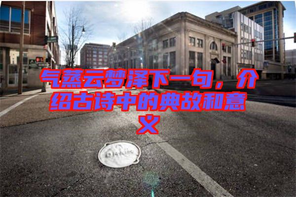 氣蒸云夢(mèng)澤下一句，介紹古詩中的典故和意義