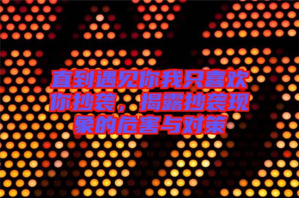 直到遇見(jiàn)你我只喜歡你抄襲，揭露抄襲現(xiàn)象的危害與對(duì)策