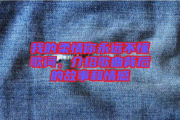 我的柔情你永遠不懂歌詞，介紹歌曲背后的故事和情感