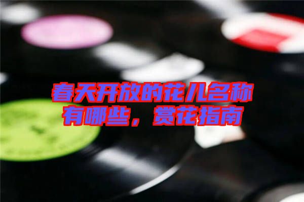 春天開放的花兒名稱有哪些，賞花指南