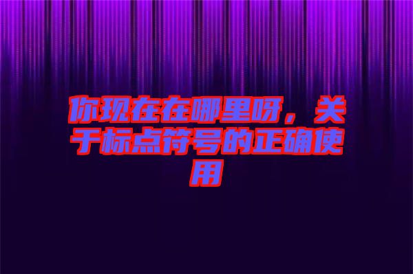 你現(xiàn)在在哪里呀，關(guān)于標(biāo)點符號的正確使用