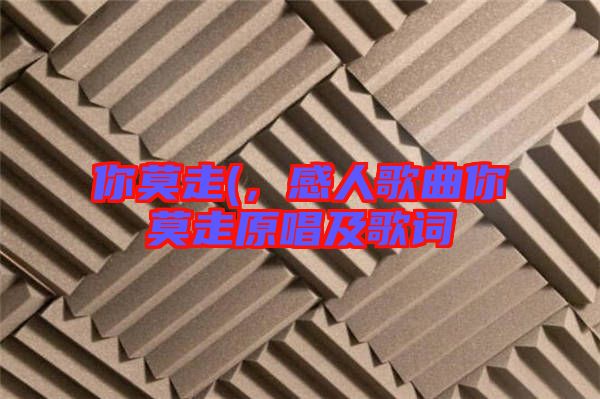 你莫走(，感人歌曲你莫走原唱及歌詞