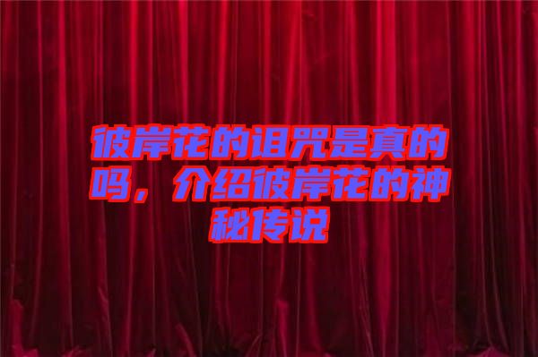 彼岸花的詛咒是真的嗎，介紹彼岸花的神秘傳說