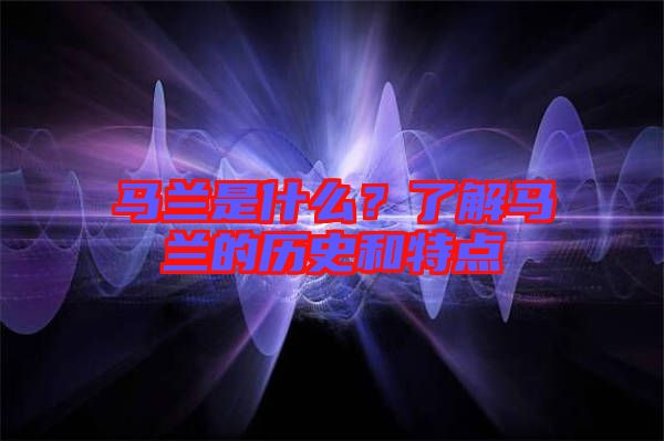 馬蘭是什么？了解馬蘭的歷史和特點(diǎn)