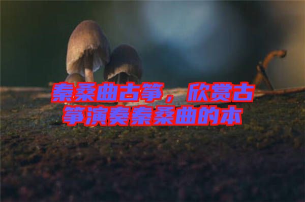 秦桑曲古箏，欣賞古箏演奏秦桑曲的本