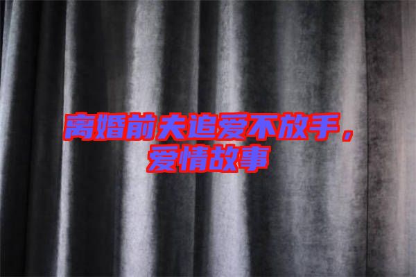 離婚前夫追愛(ài)不放手，愛(ài)情故事