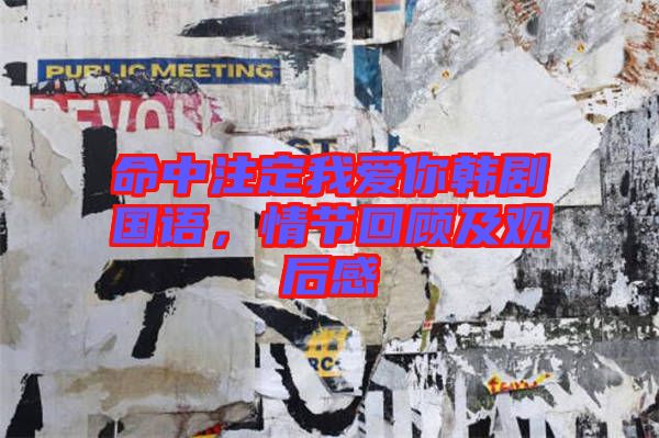 命中注定我愛你韓劇國(guó)語(yǔ)，情節(jié)回顧及觀后感